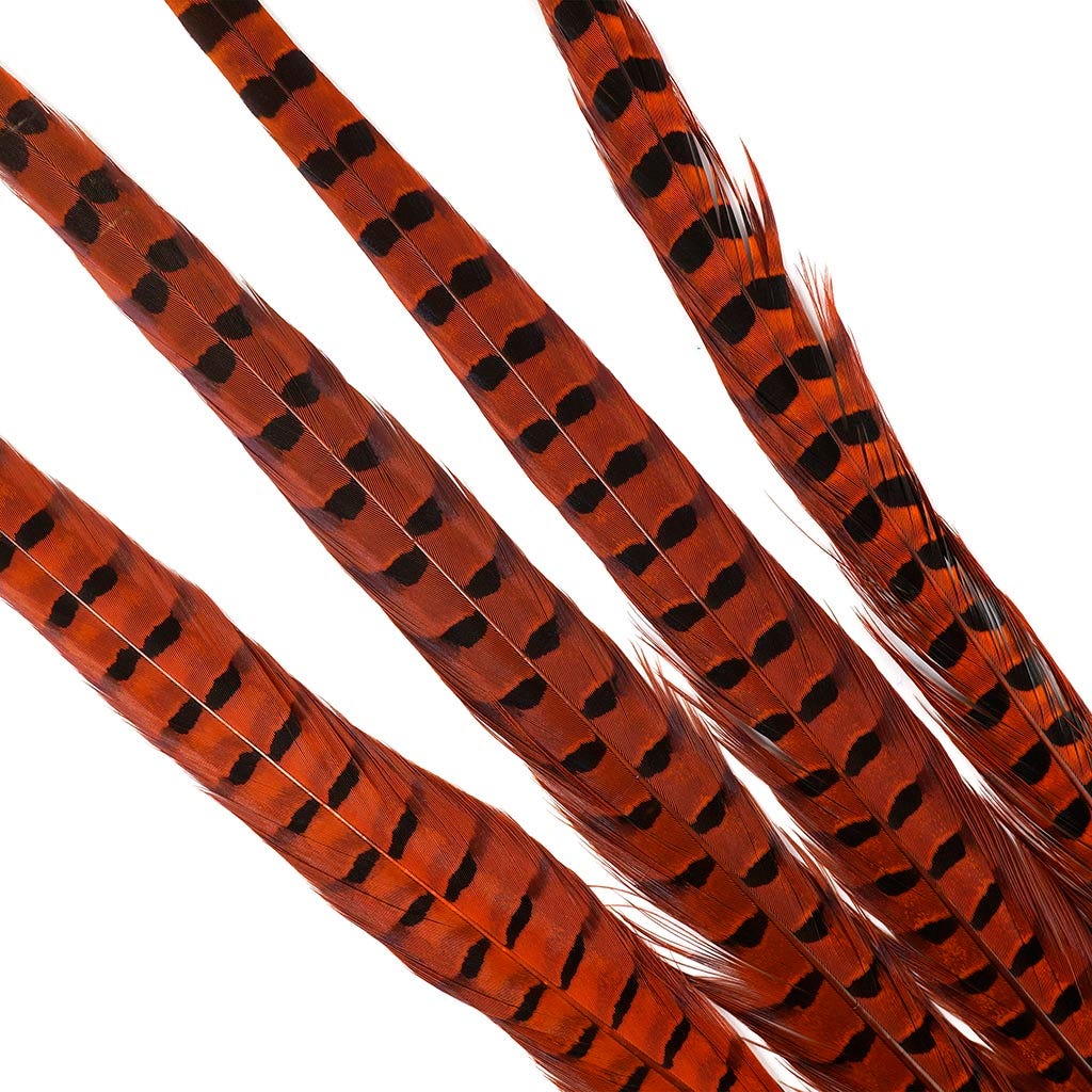 Ringneck Pheasant Tails 20-24’’ Dyed -5pcs - Orange - Feathers