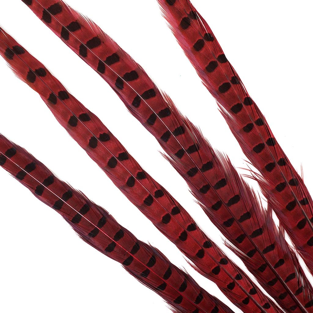 Ringneck Pheasant Tails 20-24’’ Dyed -5pcs - Shocking Pink - Feathers