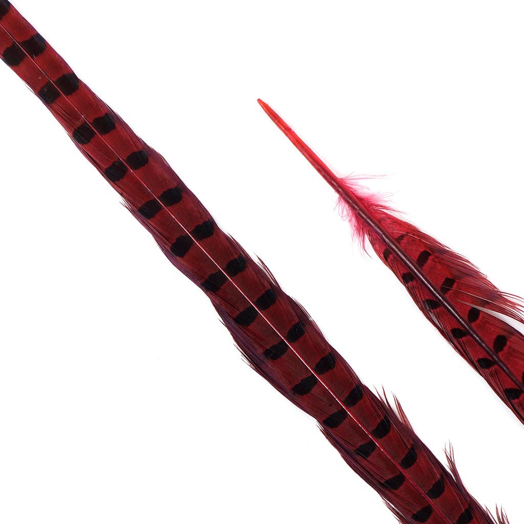 Ringneck Pheasant Tails 20-24’’ Dyed -5pcs - Shocking Pink - Feathers