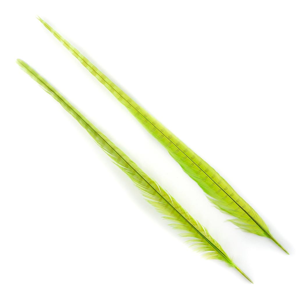 Ringneck Pheasant Tails Bleached & Dyed Lime - Feathers