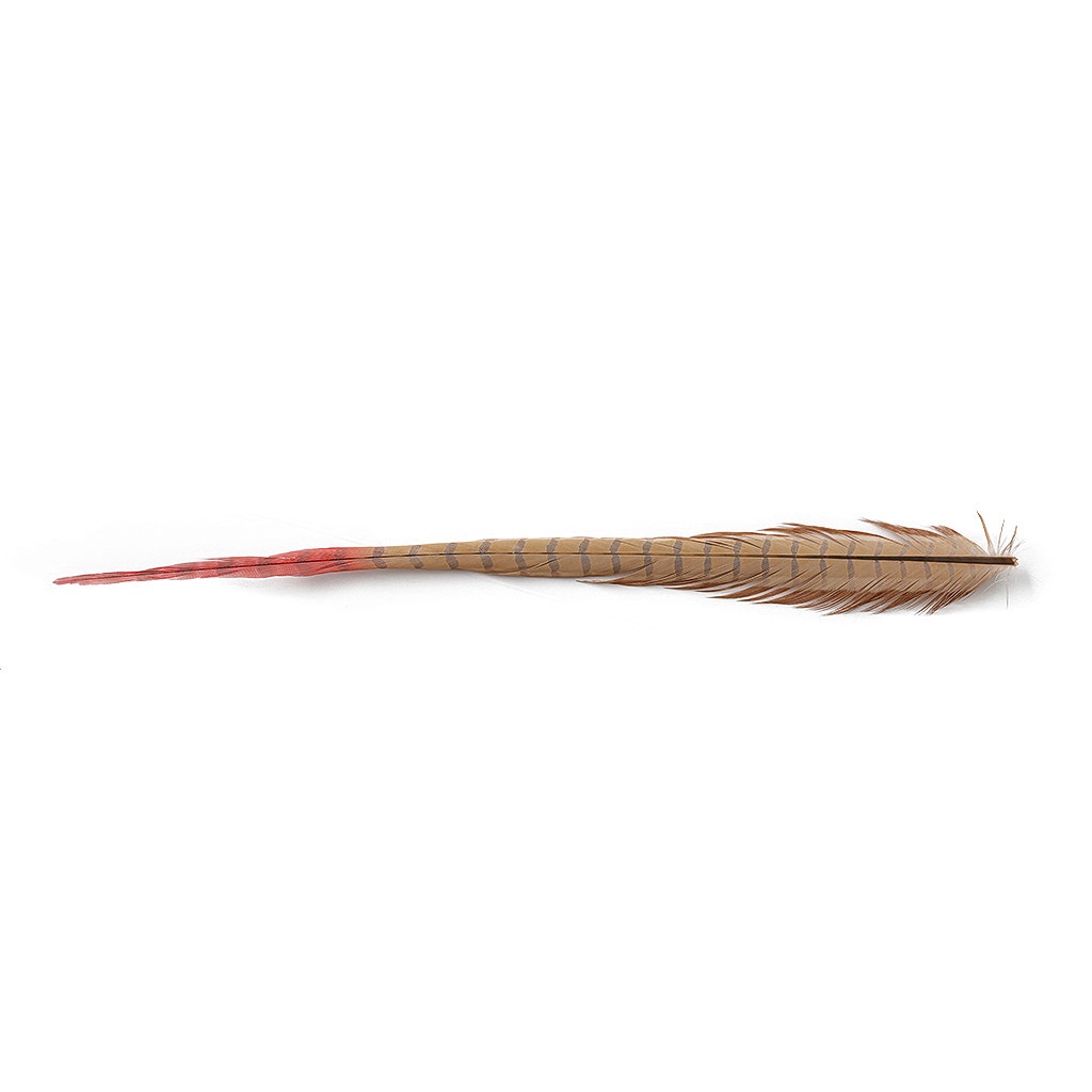 Ringneck Pheasant Tails Bleached/Dyed & Tipped Champagne/Coral - Feathers