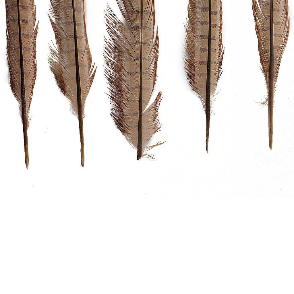 Ringneck Pheasant Tails Bleached/Dyed & Tipped Champagne/Coral - Feathers