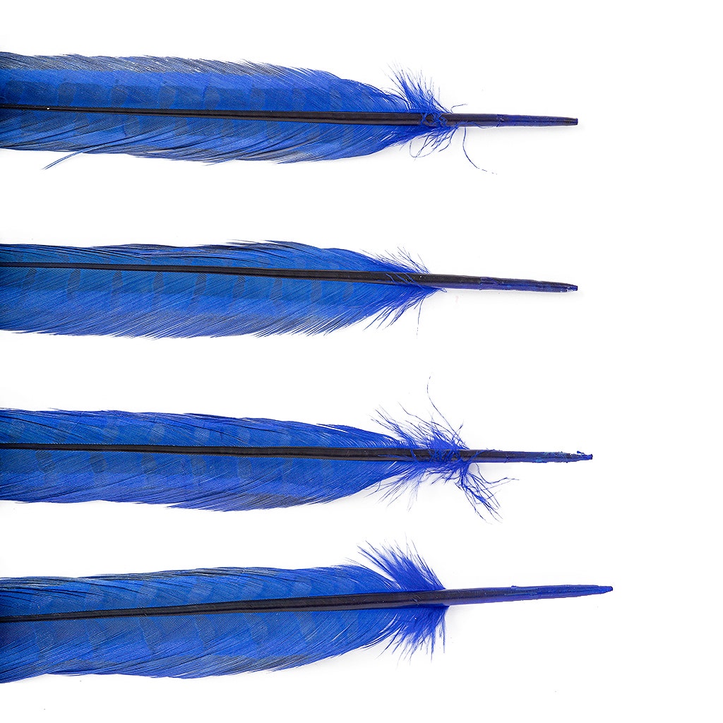 Ringneck Pheasant Tails Bleached/Dyed & Tipped Royal Blue / Lime Green - 20-24 Inch - 5 PCS - Feathers