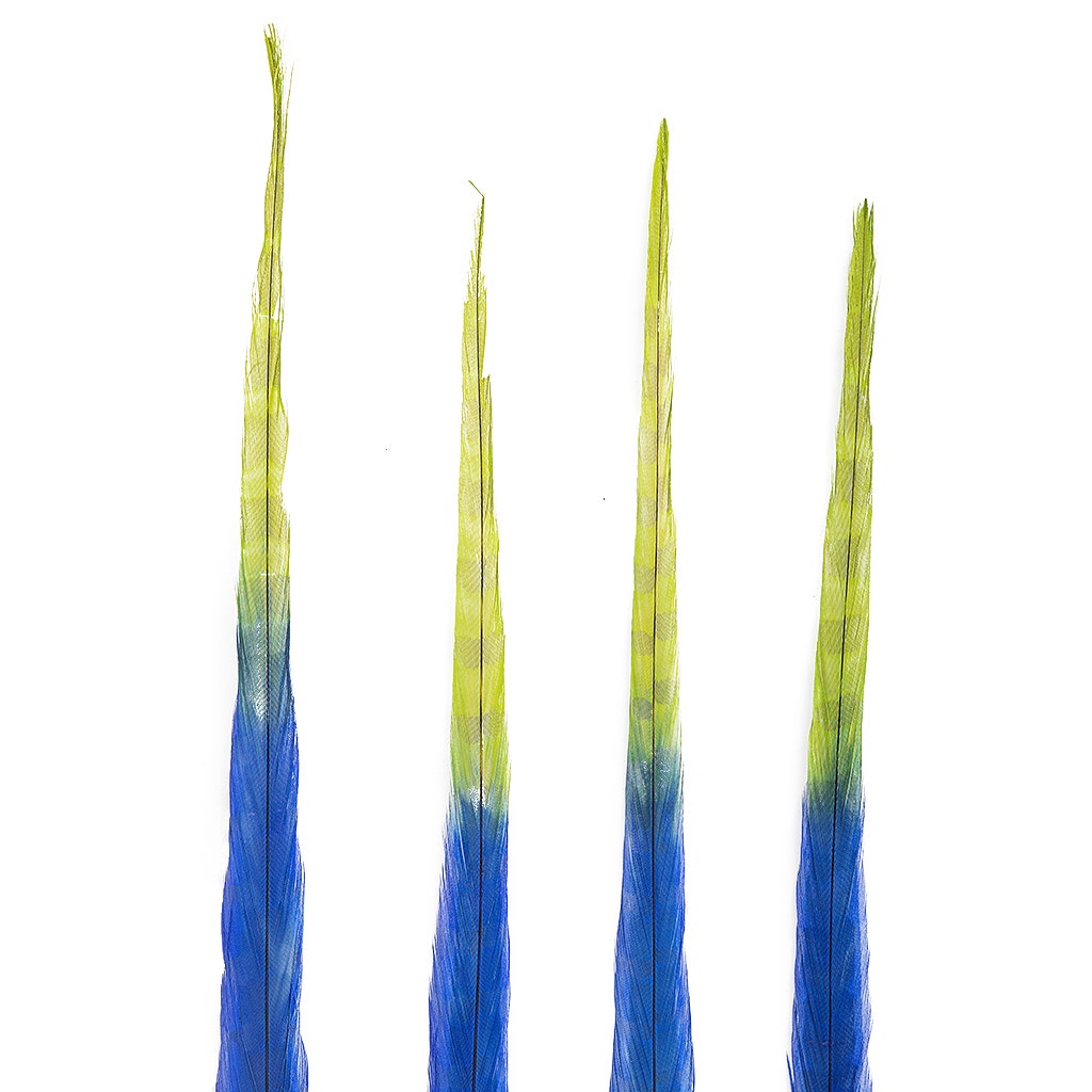 Ringneck Pheasant Tails Bleached/Dyed & Tipped Royal Blue / Lime Green - 20-24 Inch - 5 PCS - Feathers