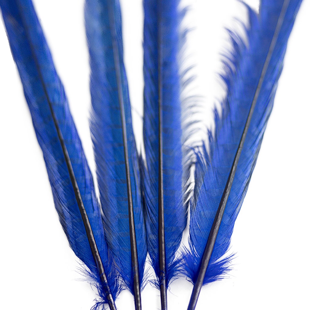 Ringneck Pheasant Tails Bleached/Dyed & Tipped Royal Blue / Lime Green - 20-24 Inch - 5 PCS - Feathers