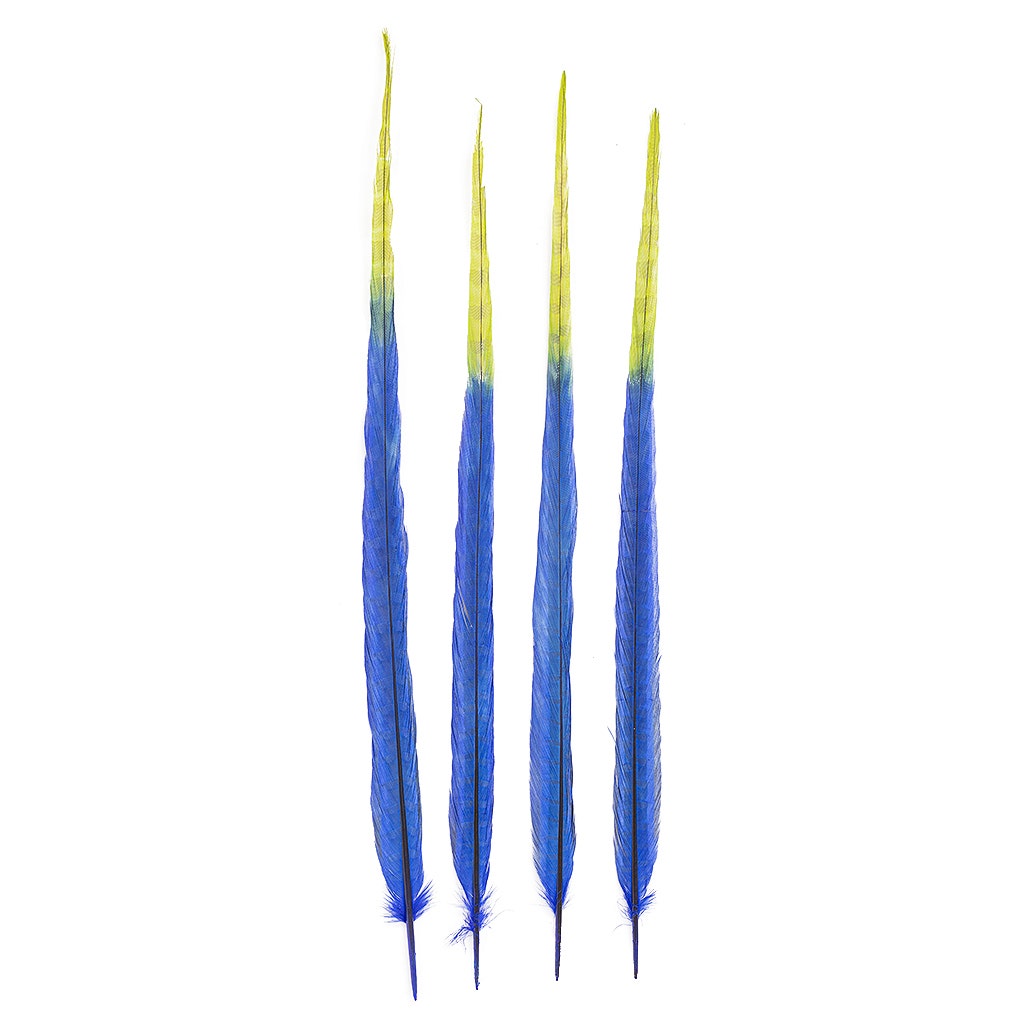 Ringneck Pheasant Tails Bleached/Dyed & Tipped Royal Blue / Lime Green - 20-24 Inch - 5 PCS - Feathers