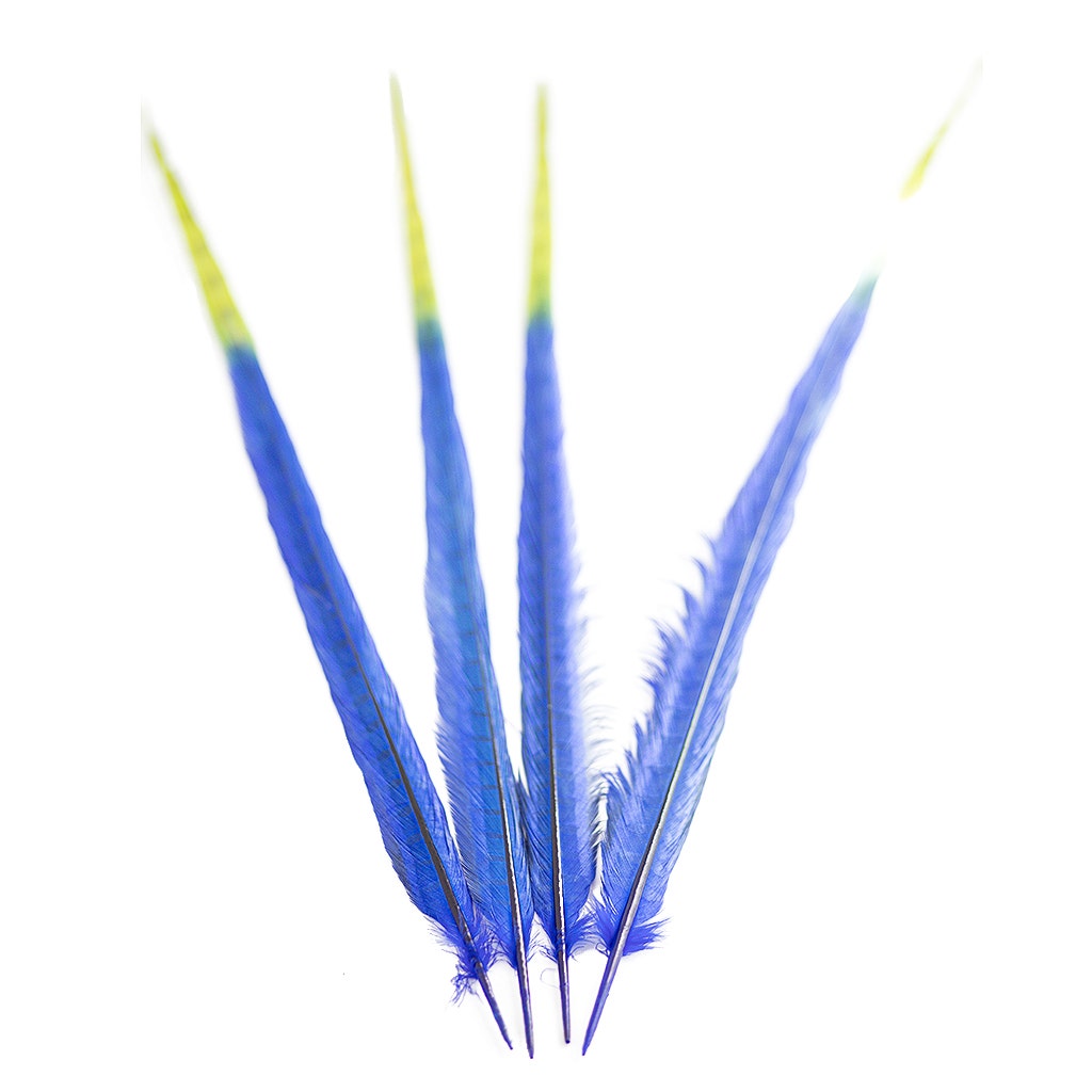 Ringneck Pheasant Tails Bleached/Dyed & Tipped Royal Blue / Lime Green - 20-24 Inch - 5 PCS - Feathers