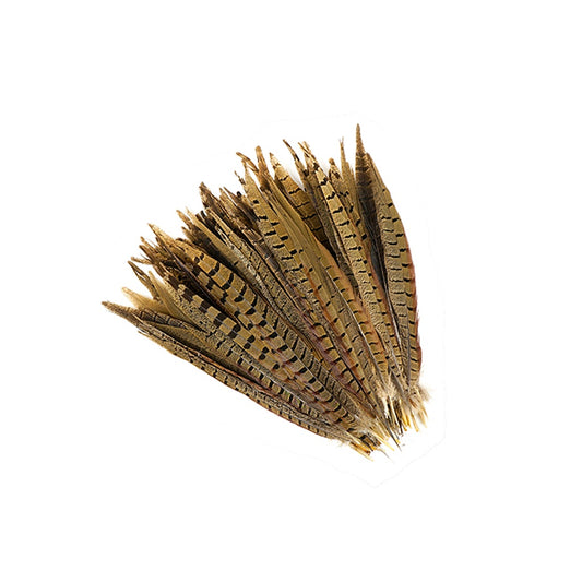 Ringneck Pheasant Tails - Natural - 10 - 12’’ - Feathers