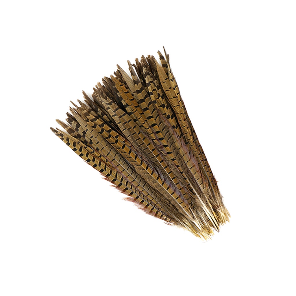 Ringneck Pheasant Tails - Natural - 12 - 14’’ - Feathers