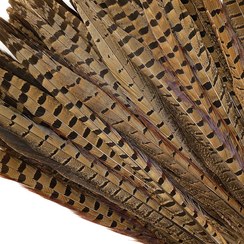 Ringneck Pheasant Tails - Natural - 12 - 14’’ - Feathers