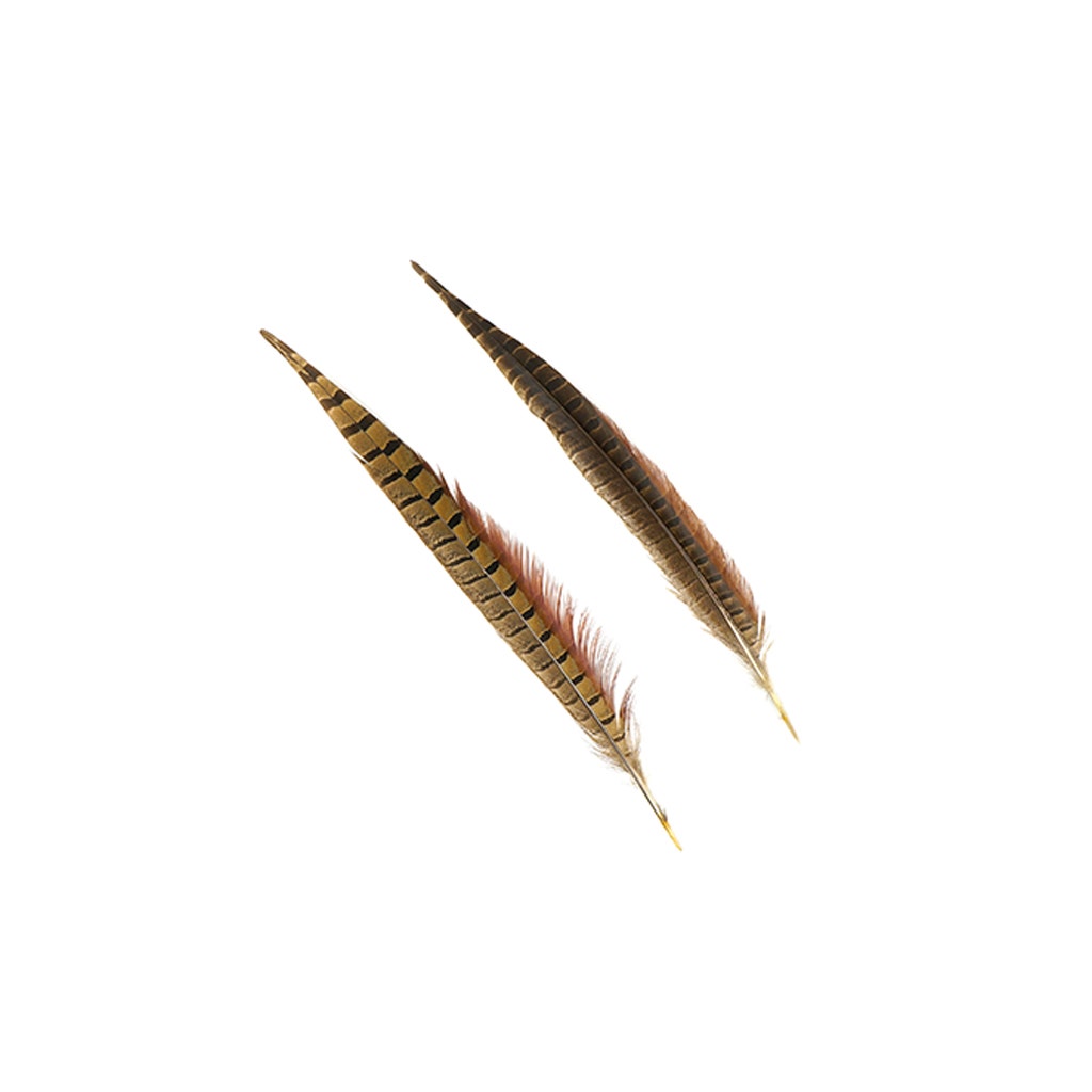 Ringneck Pheasant Tails - Natural - 12 - 14’’ - Feathers