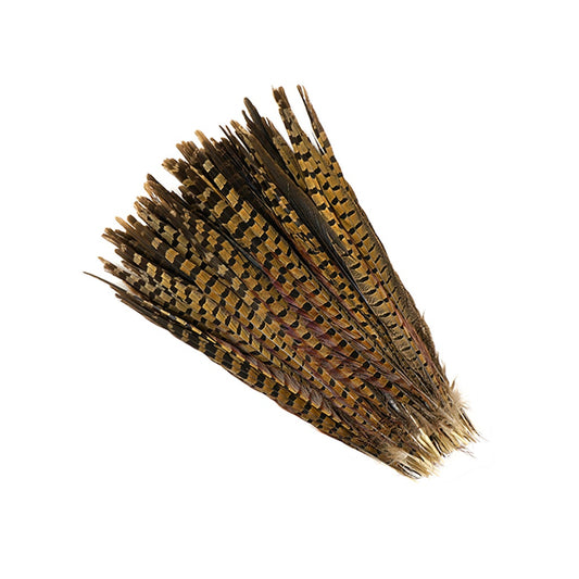 Ringneck Pheasant Tails - Natural - 14 - 16’’ - Feathers