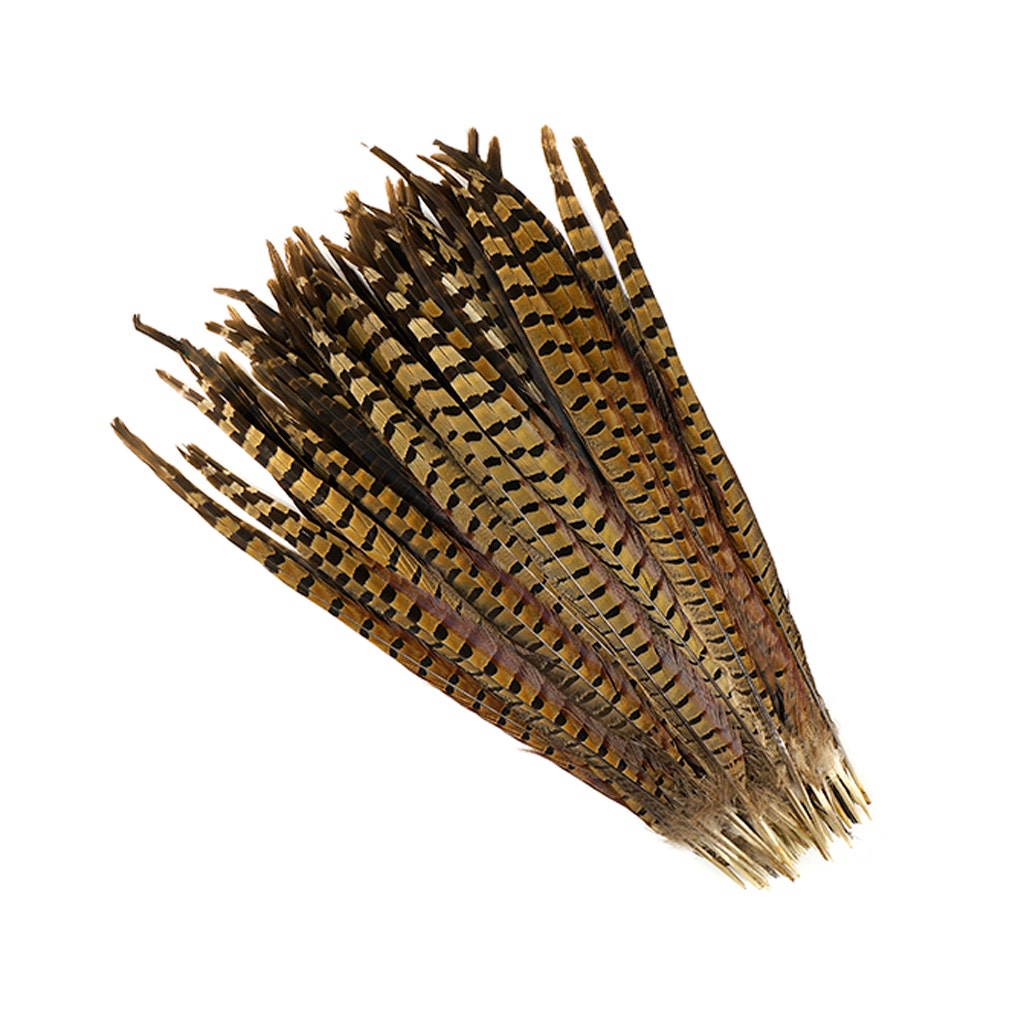 Ringneck Pheasant Tails - Natural - 16 - 18’’ - Feathers