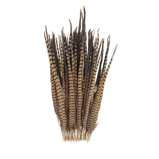 Ringneck Pheasant Tails - Natural - 20 - 24’’ - Feathers