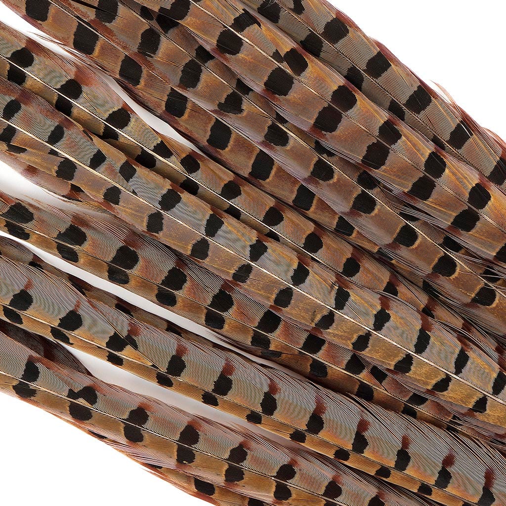 Ringneck Pheasant Tails - Natural- 30-35’’ - 12 pcs - Feathers