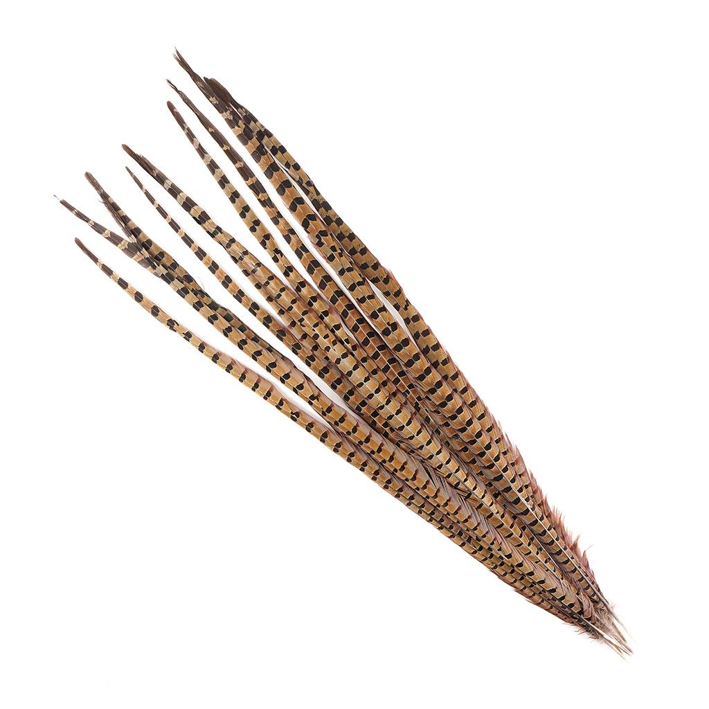 Ringneck Pheasant Tails - Natural- 30-35’’ - 12 pcs - Feathers