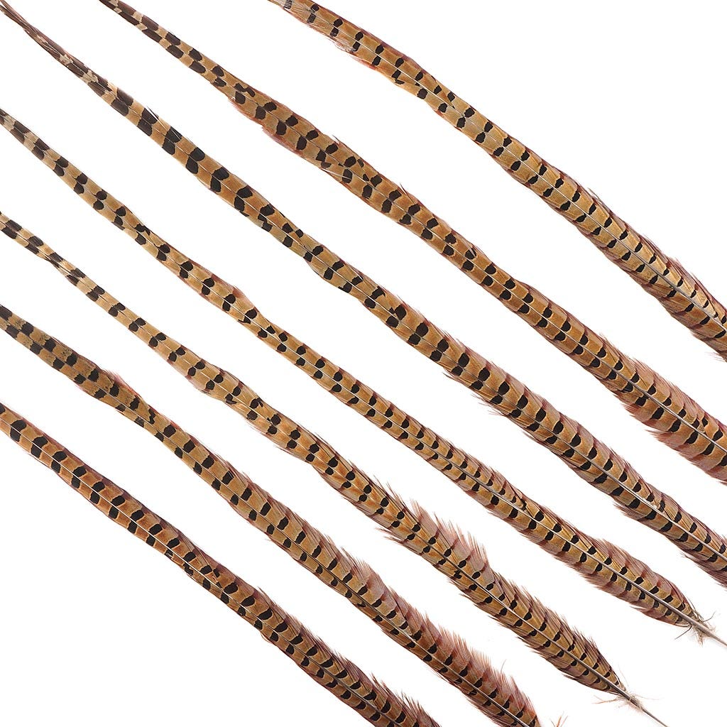 Ringneck Pheasant Tails - Natural- 30-35’’ - 12 pcs - Feathers