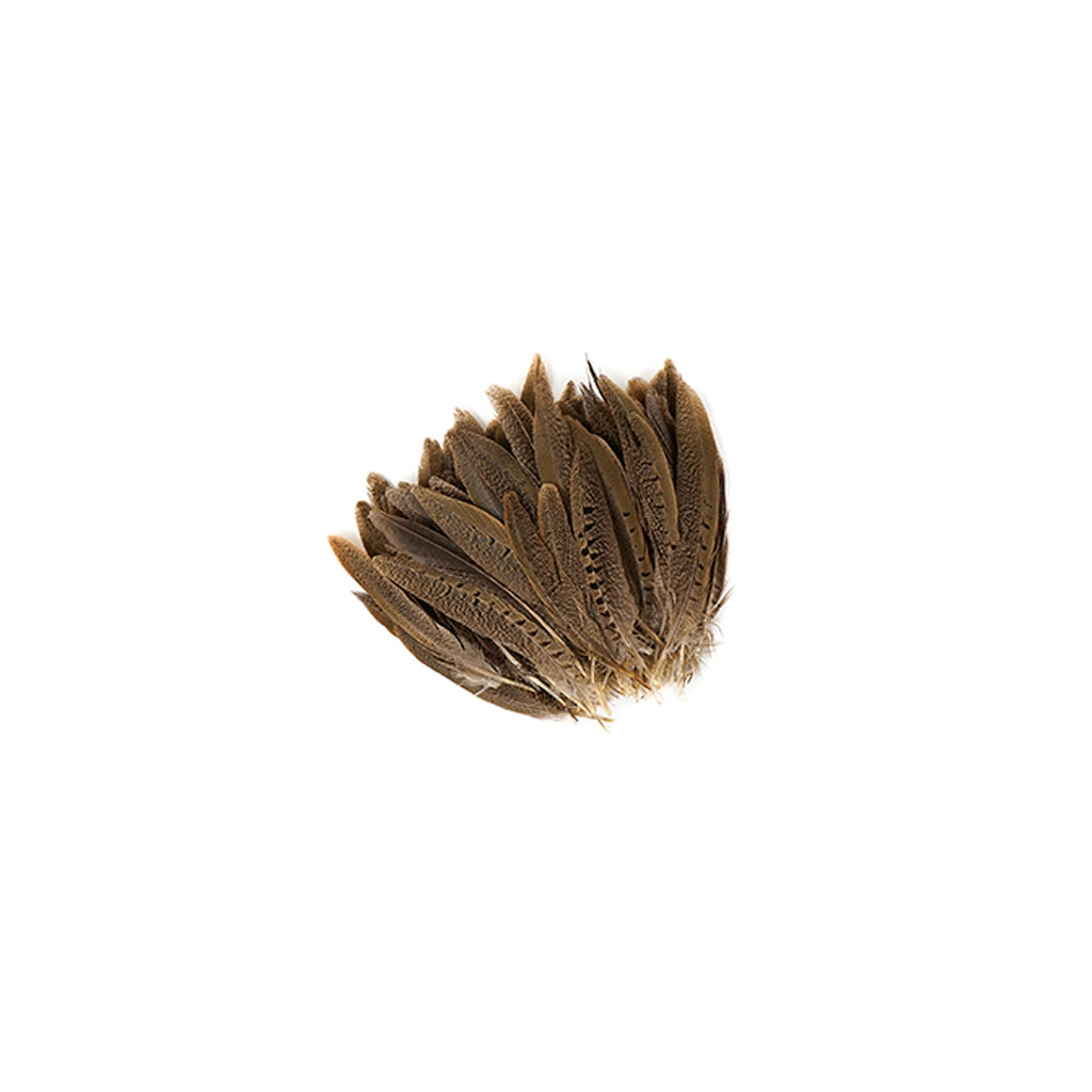 Ringneck Pheasant Tail Feathers – 2pc Pair 11-12 Inch – Fly Tying Natural Material