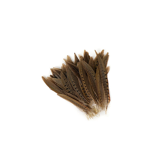 Ringneck Pheasant Tails - Natural - 6 - 8’’ - Feathers