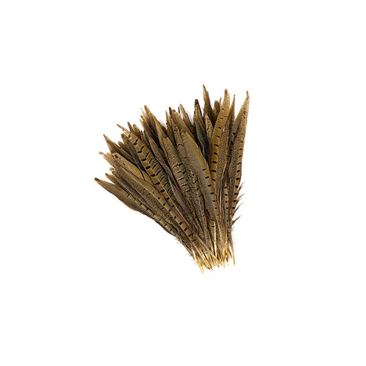 Ringneck Pheasant Tails - Natural - 8 - 10’’ - Feathers