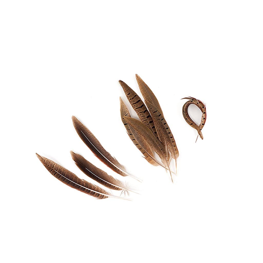 Ringneck Pheasant Tails Parried - Natural-6-8’’ - Feathers