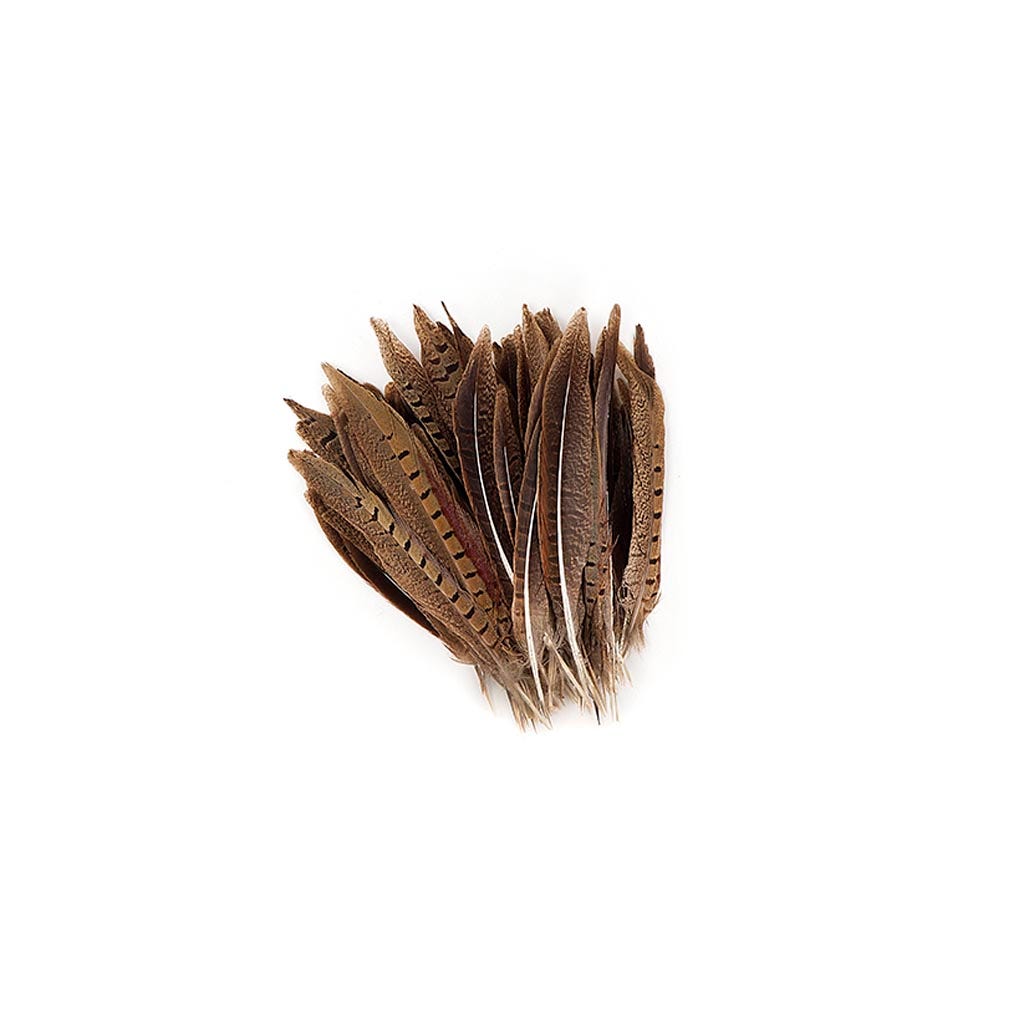 Ringneck Pheasant Tails Parried - Natural-6-8’’ - Feathers