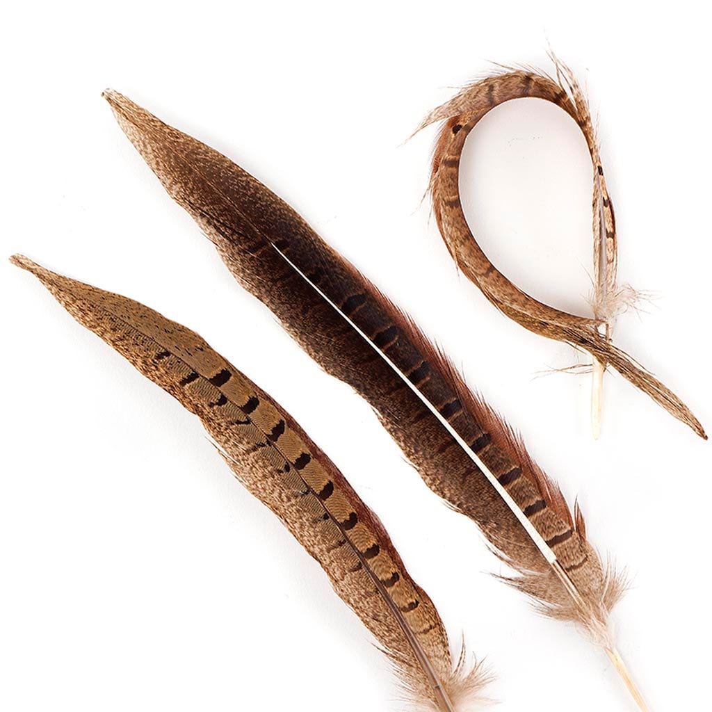 Ringneck Pheasant Tails Parried - Natural-8-10’’ - Feathers