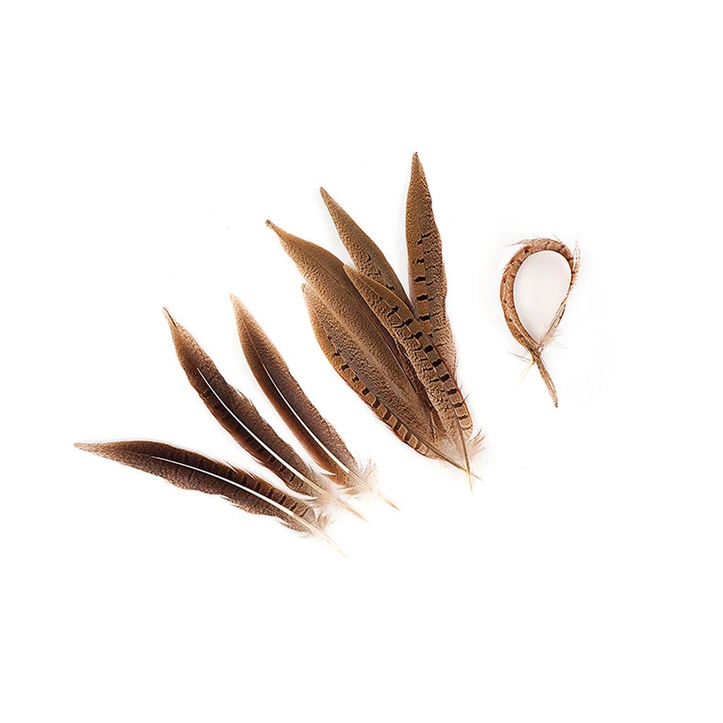 Ringneck Pheasant Tails Parried - Natural-8-10’’ - Feathers