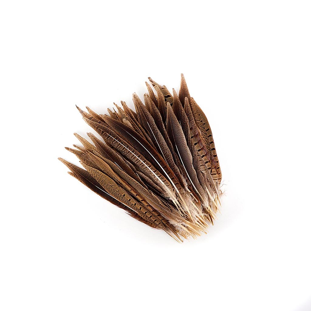 Ringneck Pheasant Tails Parried - Natural-8-10’’ - Feathers