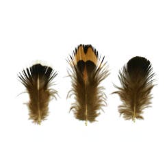 Ringneck Plumage-Blue Almond - Natural - 1.25’’- 1.5’’ - Feathers