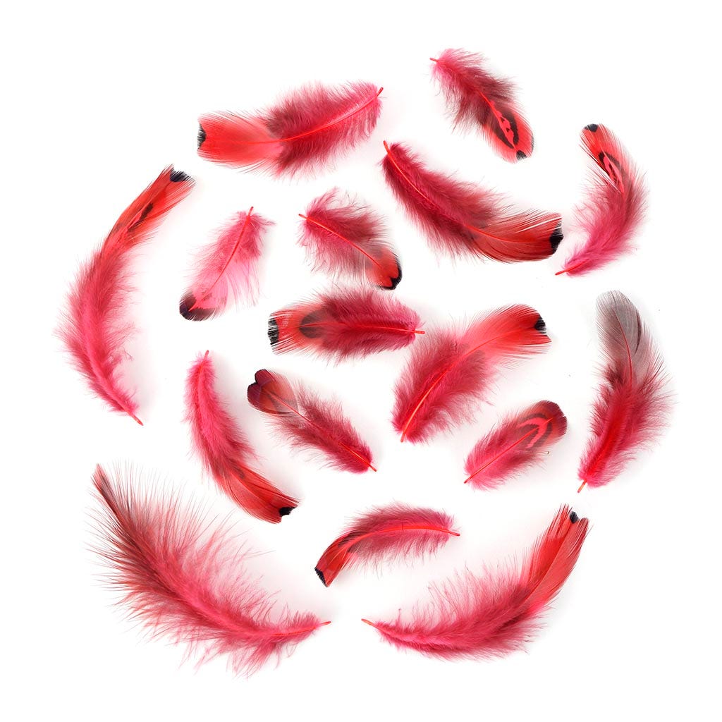 Ringneck Plumage-Heart Coral - Feathers