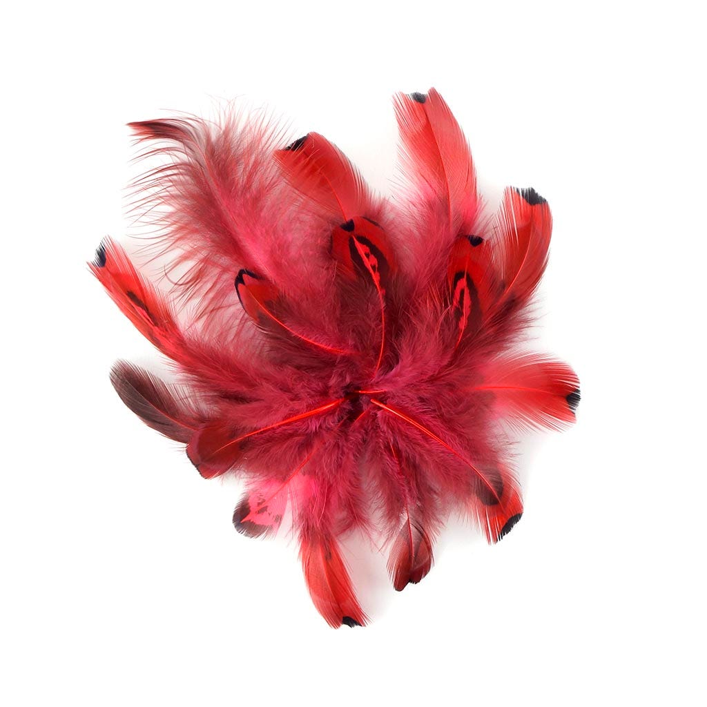 Ringneck Plumage-Heart Coral - Feathers