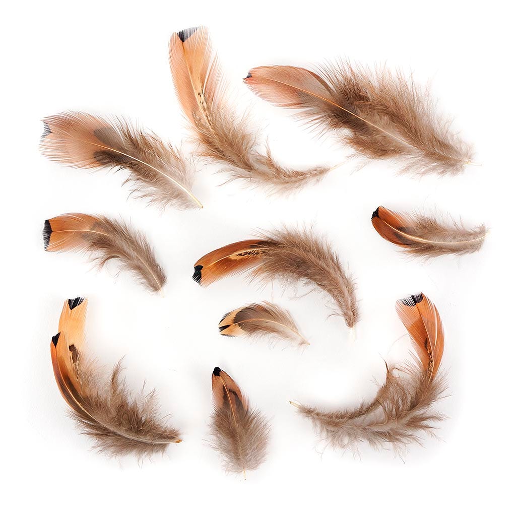 Ringneck Plumage-Heart Natural - Feathers