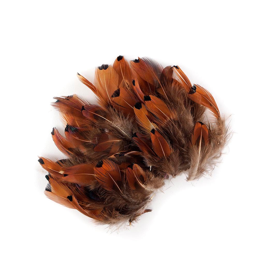 Ringneck Plumage-Heart Natural - Feathers