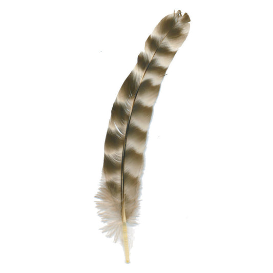 Rooster Chinchilla Round Feathers - 4 - 8’’ - Natural - Feathers