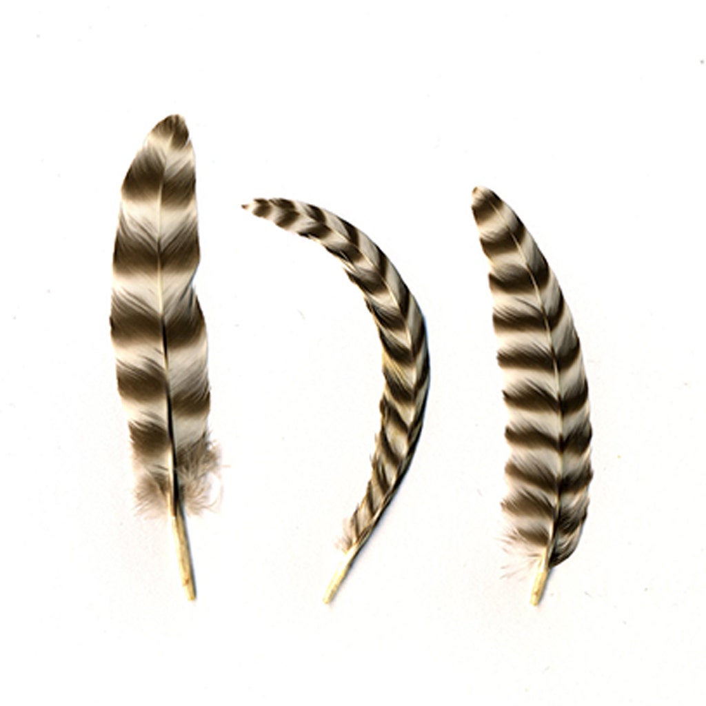 Rooster Chinchilla Rounds - Natural-2-5’’ - Feathers