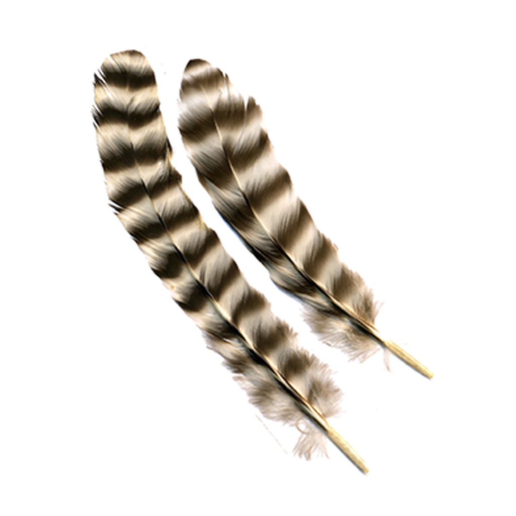 Rooster Chinchilla Rounds - Natural-2-5’’ - Feathers