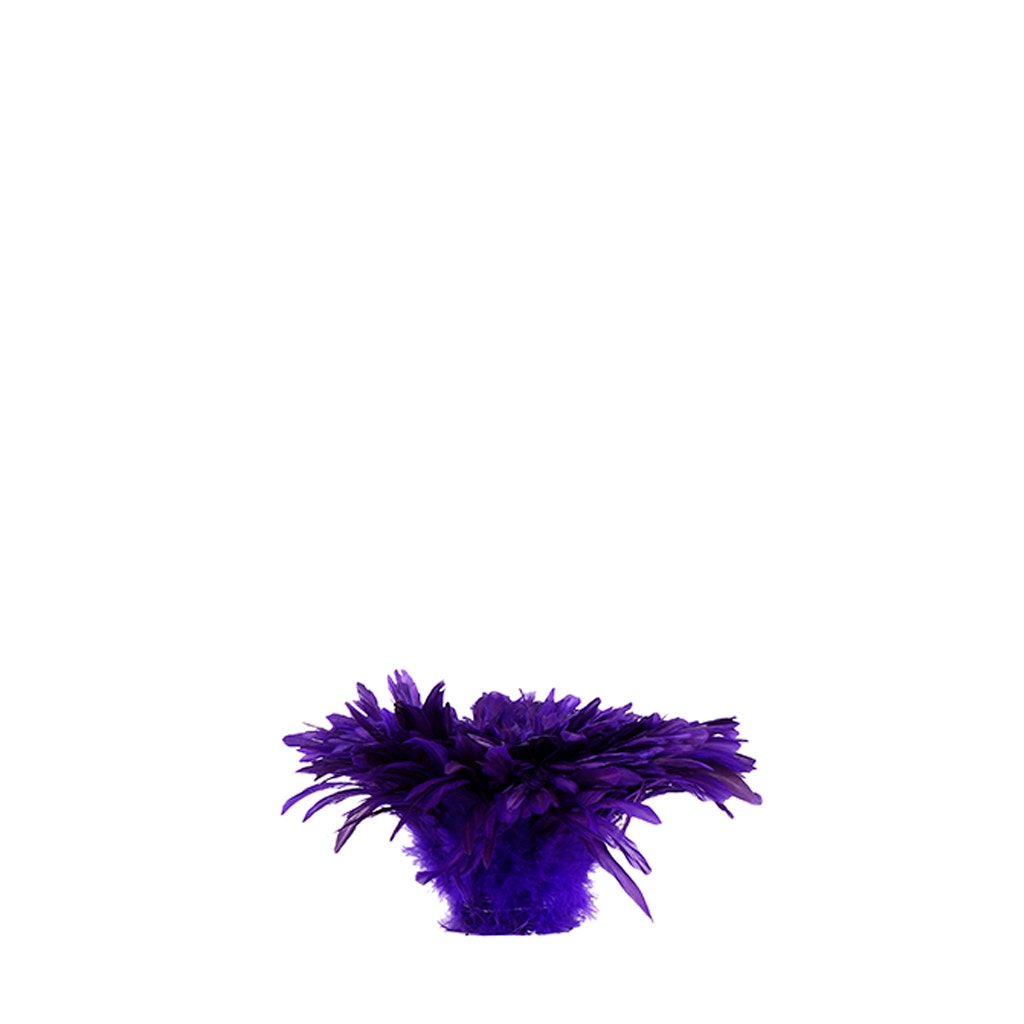 Rooster Coque Tail Feathers Bleach and Dyed - Regal - Feathers