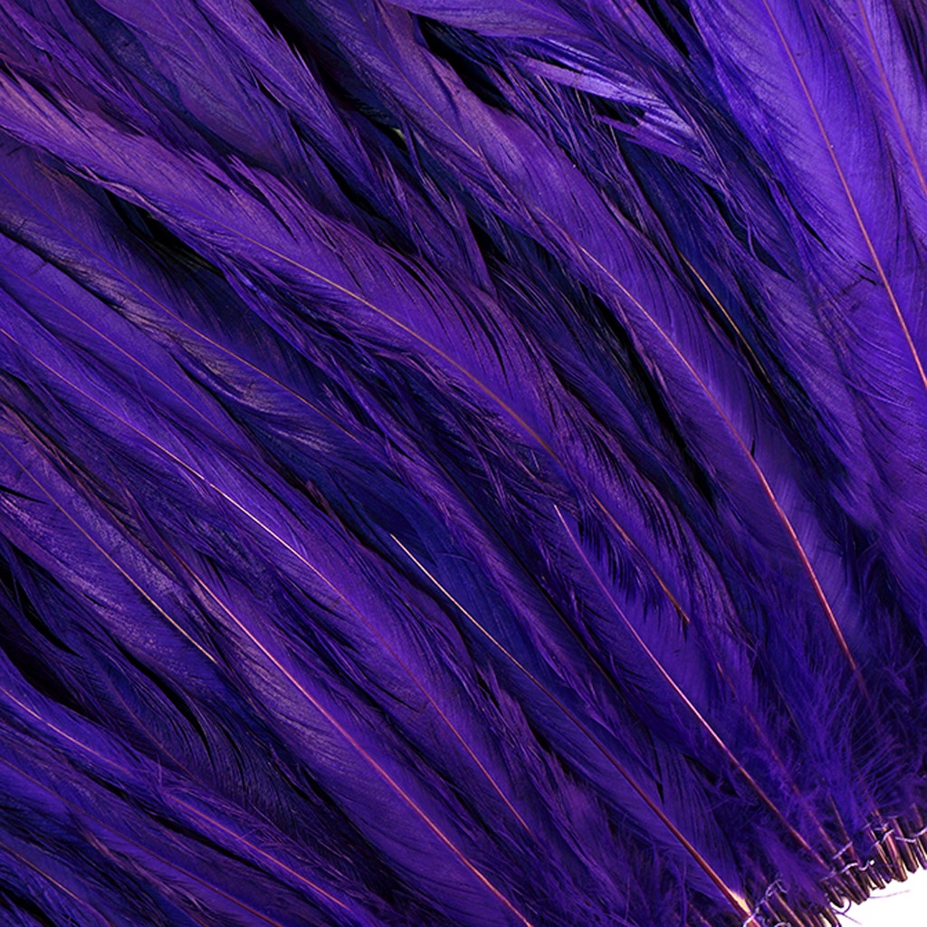 Rooster Coque Tail Feathers Bleach and Dyed - Regal - Feathers