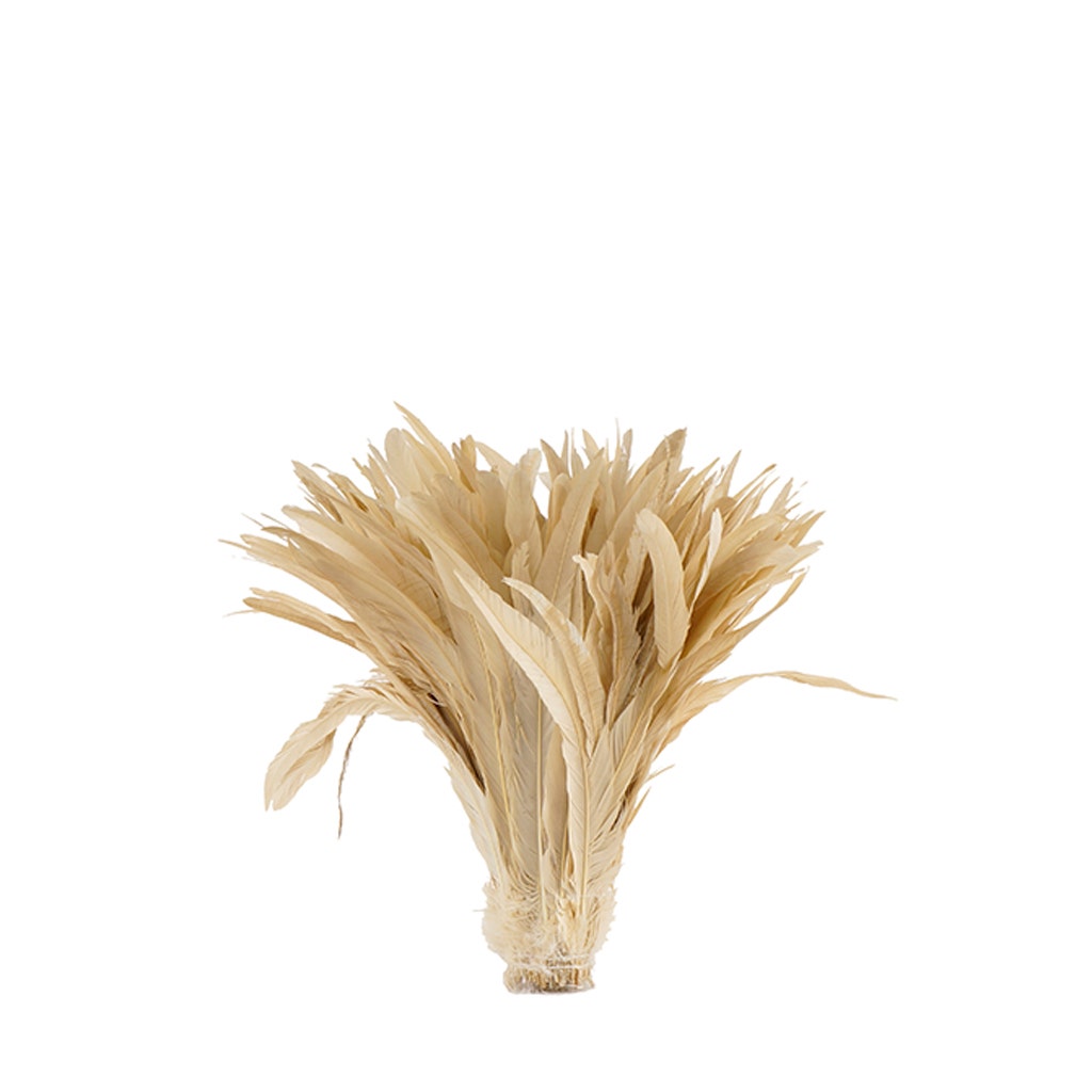 Rooster Coque Tails-Bleach-Dyed - Beige - Feathers