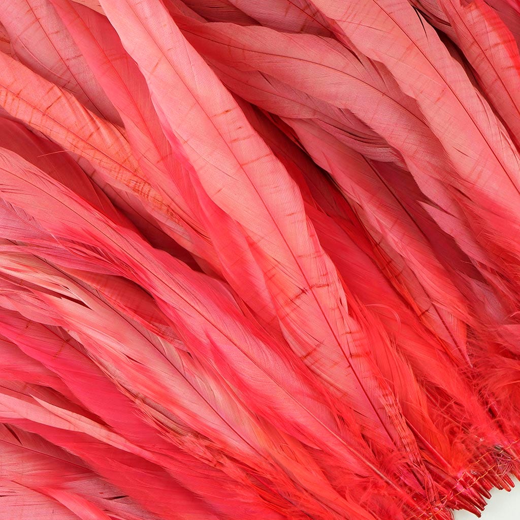 Rooster Coque Tails-Bleach-Dyed Coral - Feathers