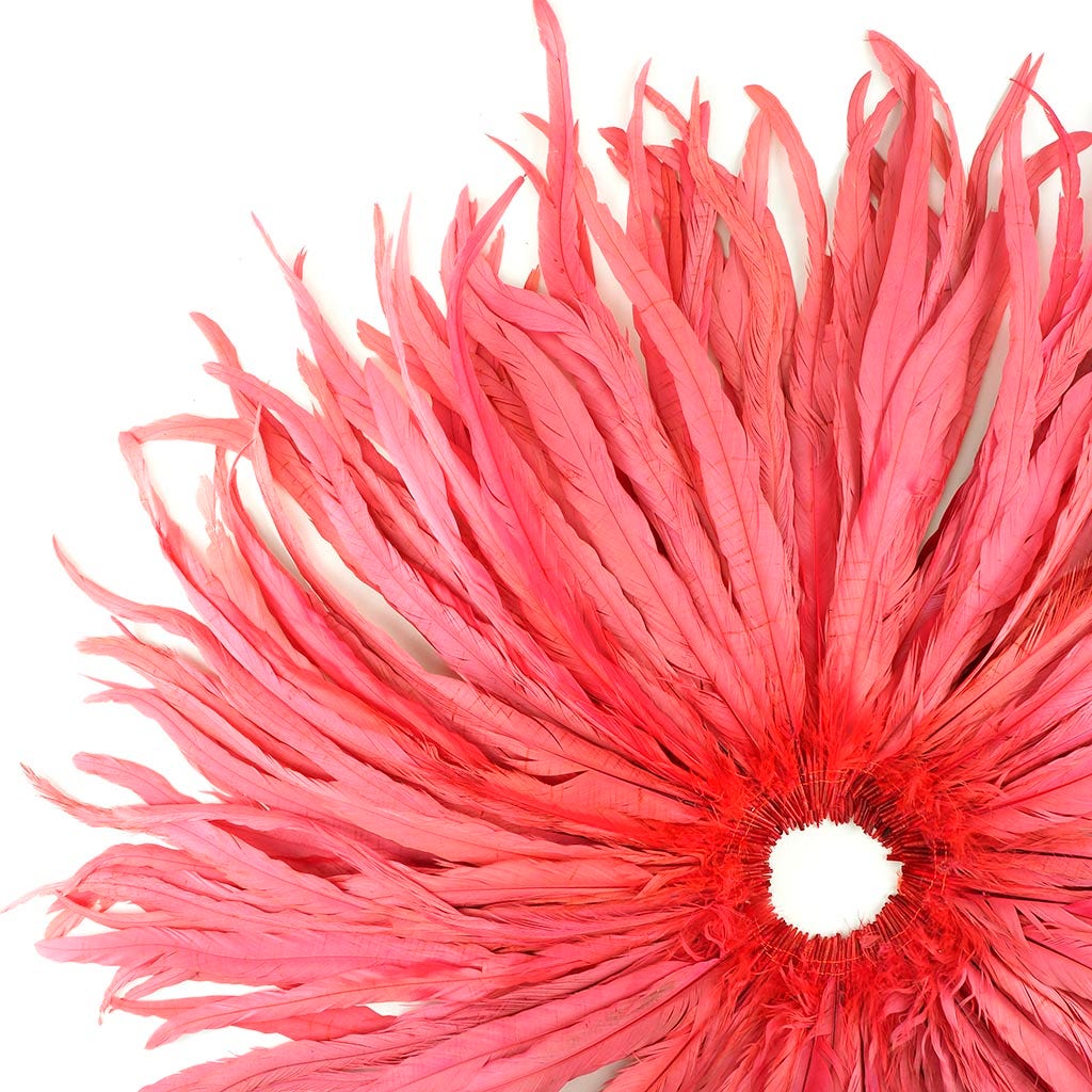 Rooster Coque Tails-Bleach-Dyed Coral - Feathers