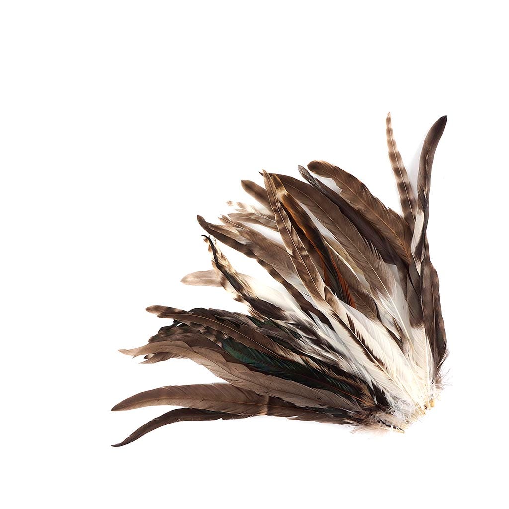 Rooster Coque Tails-Chinchilla - 11-14’’ - Feathers