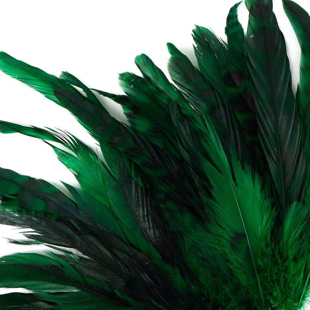 Rooster Coque Tails-Chinchilla Kelly - Feathers