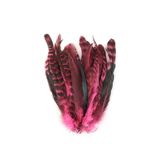 Rooster Coque Tails-Chinchilla Pink Orient - Feathers