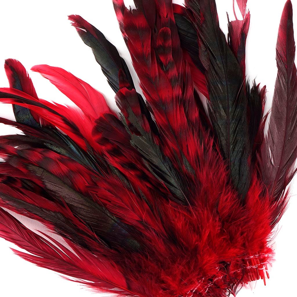 Rooster Coque Tails-Chinchilla Red - Feathers