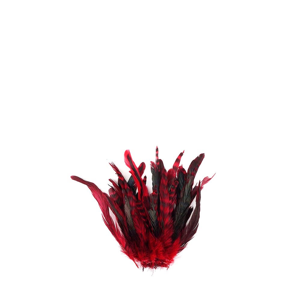 Rooster Coque Tails-Chinchilla Red - Feathers