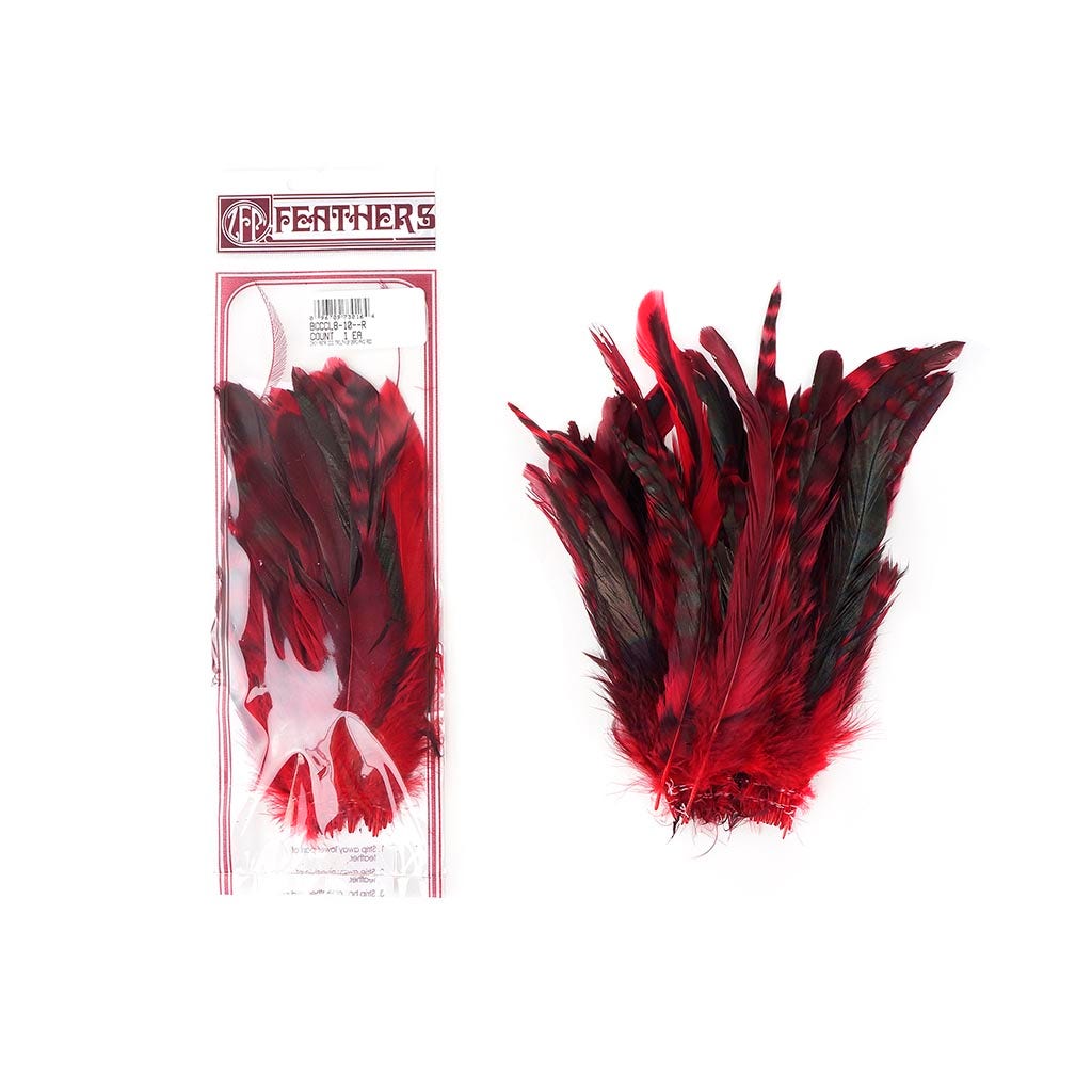 Rooster Coque Tails-Chinchilla Red - Feathers