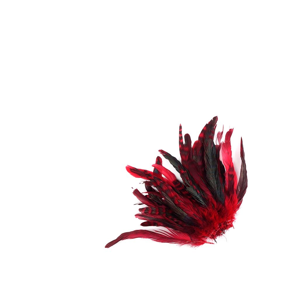 Rooster Coque Tails-Chinchilla Red - Feathers