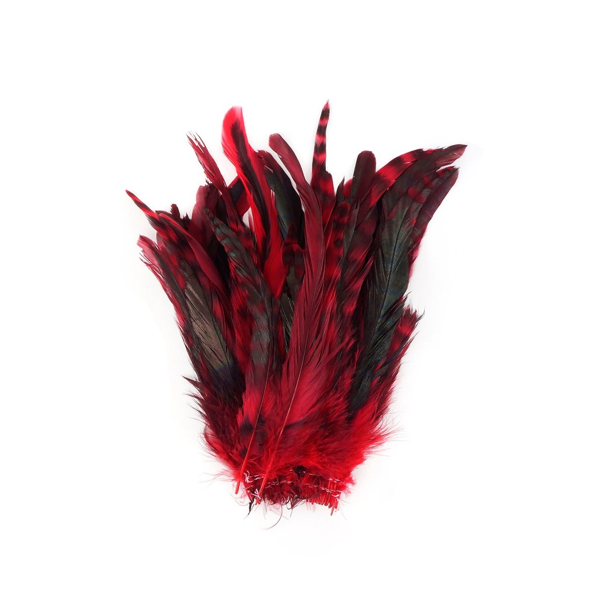 Rooster Coque Tails-Chinchilla Red - Feathers